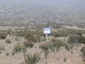 GESTORES DE NEGOCIOS Anuncios gratis en Coquimbo |  venta de parcela en coquimbo, ubicada en el sector de totoralillo
