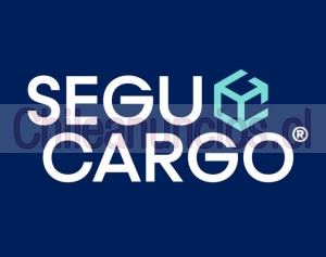 Segucargo Anuncios gratis en Santiago |  Freight forwarder transporte internacional de carga: importaciones y exportaciones, Agente de carga