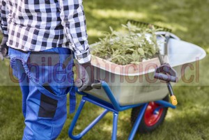 Hisco Anuncios gratis en Santiago |  Transforma tu espacio: hisco paisajismo & jardinería profesional, Paisajismo, jardinería, sitema de riego, empresas y hogares