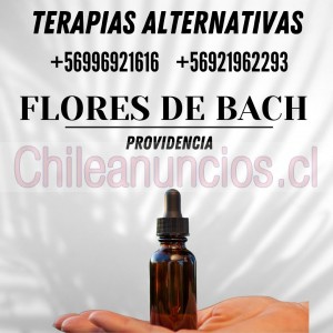 Maria jose Anuncios gratis en Providencia |  Equilibra tu ser con flores de bach. sesión a $25.000. armoniza tu interior de manera asequible., Centro de terapias alternativas  +56996921616 providencia metro lo leo