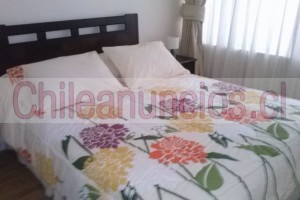 Raul ortega Anuncios gratis en Santiago |  Vendo departamento excelente ubicación y conectividad , Vendo departamento santiago centro