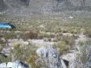 GESTORES DE NEGOCIOS Anuncios gratis en Coquimbo |  TERRENO A LA VENTA EN COQUIMBO, UBICADO EN EL SECTOR DE TOTORALILLO