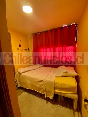 Rene Anuncios gratis en Santiago |  Arriendo pieza pequeña en amplio departamento, providencia, Sector el bosque con pocuro