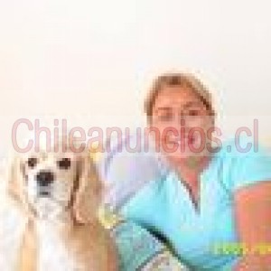 Claudia cardenas pab Anuncios gratis en Santiago |  Clases de verano online de reforzamiento o nivelacion, Clases  online