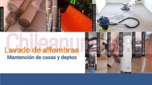 Aseo industrial capi Anuncios gratis en Ñuñoa |  Lavado de alfombras y limpieza de tapices en Ñuñoa, Limpieza de alfombras, lavado de alfombras, limpiar alfombras en seco