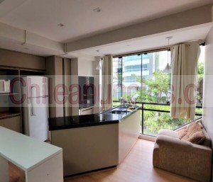 Ana karina Anuncios gratis en Santiago |  Arriendo vacacional en balneario camboriu brasil oferta, Alquiler