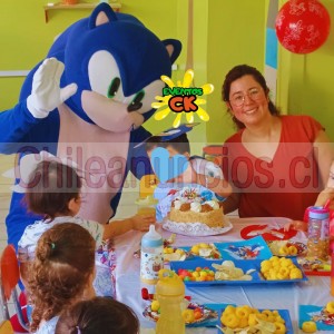 Eventos ck Anuncios gratis en Estación Central |  Visita express y pintacaritas son sonic y amy rose , Sonic y amy rose visita express