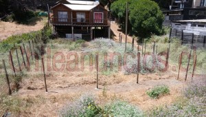 Ana maría romero p. Anuncios gratis en Puchuncav&iacute; |  Se vende casa totalmente equipada en horcon puchuncavi, Queda en horcon cerca playa cau cau