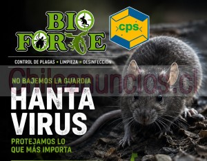 Bioforte Anuncios gratis en Puerto Montt |  Bioforte control de plagas en puerto montt y region de los lagos, Control de plagas en todo el sur de chile
