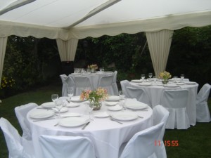  Anuncios gratis en Santiago |  BANQUETEROS  PROFESIONALES  PARA  SU  MATRIMONIO, MATRIMONIOS,  FIESTAS  Y  EVENTOS  FONO    2681366