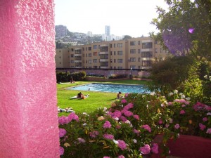 Nelson Paredes Sotomayor Anuncios gratis en Vi&ntilde;a del Mar |  Depto. en re&ntilde;aca, excelente estado, 2 dormitorios, ba&ntilde;o, estacionamiento, Ubicado en condominio,   piscina, sala de lavado y secado