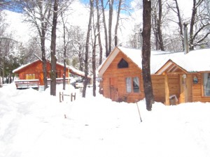 Carlos Anuncios gratis en  Vendo Complejo de Caba&ntilde;as en las Trancas , Termas de Chillan, Por viaje Excelente negocio Turistico