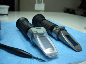 jorge Anuncios gratis en  Reparaci&oacute;n de Prismaticos, Microscopios e Instrumental optico, Servicio T&eacute;cnico