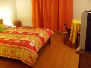  Anuncios gratis en Santiago |  departamento amoblado se arrienda, sector bellas artes
